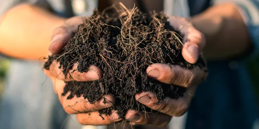 Illustrative image of Organic soil management in Drummondville